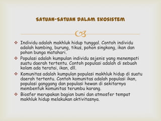 Contoh Individu Ekosistem | PPTX
