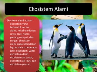 Ekosistem Alami
Ekositem alami adalah
   ekosistem yang
   terbentuk secara
   alami, misalnya danau,
   rawa, laut, hutan,
   padang rumput, dan
   sungai. Ekosistem
   alami dapat dibedakan
   lagi ke dalam beberapa
   jenis ekosistem, yaitu
   ekosistem darat,
   ekosistem air tawar,
   ekosistem air laut, dan
   ekosistem pantai.
 
