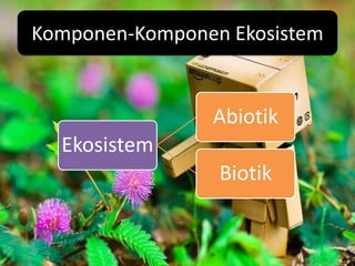 Komponen-Komponen Ekosistem


                Abiotik
  Ekosistem
                 Biotik
 
