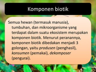 Komponen biotik

Semua hewan (termasuk manusia),
  tumbuhan, dan mikroorganisme yang
  terdapat dalam suatu ekosistem merupakan
  komponen biotik. Menurut peranannya,
  komponen biotik dibedakan menjadi 3
  golongan, yaitu produsen (penghasil),
  konsumen (pemakai), dekomposer
  (pengurai).
 