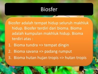 Biosfer

Biosfer adalah tempat hidup seluruh makhluk
  hidup. Biosfer terdiri dari bioma. Bioma
  adalah kumpulan makhluk hidup. Bioma
  terdiri atas :
1. Bioma tundra => tempat dingin
2. Bioma savana => padang rumput
3. Bioma hutan hujan tropis => hutan tropis
 