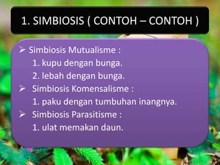 1. SIMBIOSIS ( CONTOH – CONTOH )

 Simbiosis Mutualisme :
   1. kupu dengan bunga.
   2. lebah dengan bunga.
 Simbiosis Komensalisme :
   1. paku dengan tumbuhan inangnya.
 Simbiosis Parasitisme :
   1. ulat memakan daun.
 
