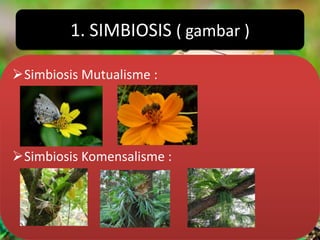 1. SIMBIOSIS ( gambar )

Simbiosis Mutualisme :




Simbiosis Komensalisme :
 