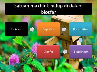 Satuan makhluk hidup di dalam
            biosfer


Individu     Populasi     Komunitas




              Biosfer      Ekosistem
 