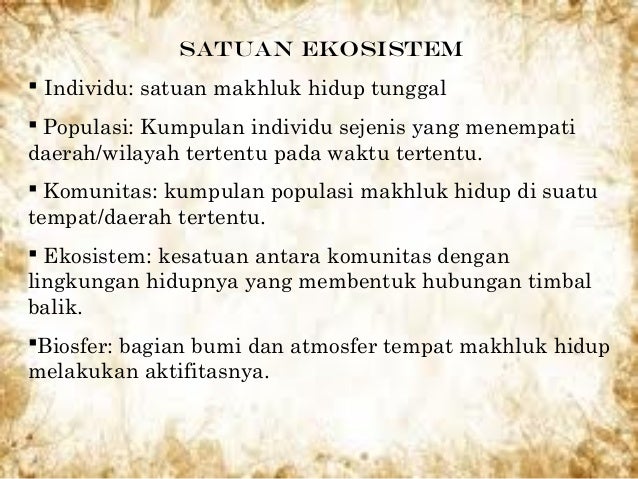 Satuan Kehidupan Komponen Biotik Penyusun Ekosistem Gambar Ilustrasi