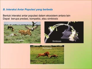Predasi Ekosistem | PPTX