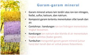 • Garam mineral antara lain terdiri atas ion-ion nitrogen,
fosfat, sulfur, kalsium, dan natrium.
• Komposisi garam tertentu menentukan sifat tanah dan
air.
• Contohnya : kandungan ion-ion hidrogen menentukan
tingkat keasaman.
• Kandungan ion natrium dan klorida di air menentukan
tingkat salinitas (kadar garam).
• Tumbuhan mengambil garam-garam mineral (unsur
hara) dari tanah dan air untuk proses fotosintesis.
 