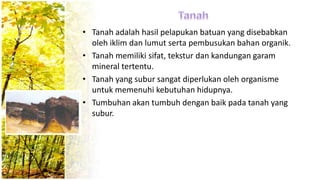 • Tanah adalah hasil pelapukan batuan yang disebabkan
oleh iklim dan lumut serta pembusukan bahan organik.
• Tanah memiliki sifat, tekstur dan kandungan garam
mineral tertentu.
• Tanah yang subur sangat diperlukan oleh organisme
untuk memenuhi kebutuhan hidupnya.
• Tumbuhan akan tumbuh dengan baik pada tanah yang
subur.
 