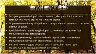 • Setiap organisme hidup di habitat tertentu, dan pada habitat tertentu
tersebut juga hidup organisme lain yang sejenis.
• Organisme sejenis yag hidup di suatu tempat dalam kurun waktu tertentu
disebut populasi.
• Jumlah individu sejenis yang hidup di suatu tempat per satuan luas
menunjukkan kepadatan populasi.
• Lokasi ditemukannya individu-individu sejenis pada suatu tempat
menunjukkan penyebaran atau distribusi populasi.
• Bertambahnya anggota populasi berarti kebutuhan hidup seperti
makanan, air, cahaya juga semakin bertambah.
Interaksi antar-individu
 