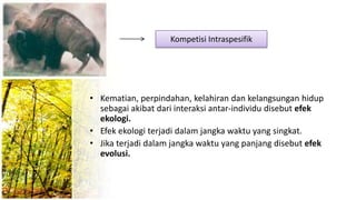 • Kematian, perpindahan, kelahiran dan kelangsungan hidup
sebagai akibat dari interaksi antar-individu disebut efek
ekologi.
• Efek ekologi terjadi dalam jangka waktu yang singkat.
• Jika terjadi dalam jangka waktu yang panjang disebut efek
evolusi.
Kompetisi Intraspesifik
 