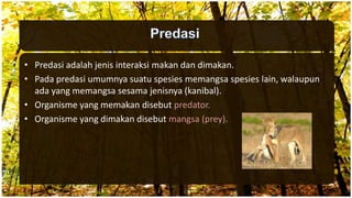 • Predasi adalah jenis interaksi makan dan dimakan.
• Pada predasi umumnya suatu spesies memangsa spesies lain, walaupun
ada yang memangsa sesama jenisnya (kanibal).
• Organisme yang memakan disebut predator.
• Organisme yang dimakan disebut mangsa (prey).
 