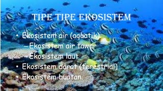 Tipe Tipe Ekosistem
• Ekosistem air (aquatik)
–Ekosistem air tawar
–Ekosistem laut
• Ekosistem darat (terestrial)
• Ekosistem buatan.
 