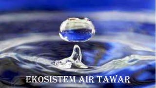 Ekosistem Air Tawar
 