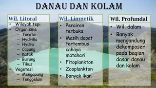 Danau dan Kolam
Wil. Litoral Wil. Limnetik
• Wilayah tepi
• Organisme
– Teratai
– Hydrilla
– Hydra
– Capung
– Katak
– Burung
– Tikus
• Vegetasi
– Mengapung
– Tenggelam
• Perairan
terbuka
• Masih dapat
tertembus
cahaya
matahari
• Fitoplankton
• Zooplankton
• Banyak ikan
Wil. Profundal
• Wil. dalam
• Banyak
mengandung
dekomposer
pada bagian
dasar danau
dan kolam
 