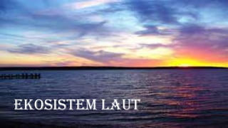 Ekosistem Laut
 