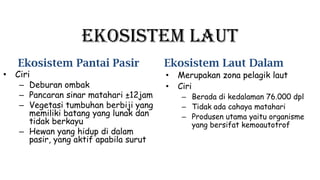Ekosistem Laut
Ekosistem Pantai Pasir Ekosistem Laut Dalam
• Ciri
– Deburan ombak
– Pancaran sinar matahari ±12jam
– Vegetasi tumbuhan berbiji yang
memiliki batang yang lunak dan
tidak berkayu
– Hewan yang hidup di dalam
pasir, yang aktif apabila surut
• Merupakan zona pelagik laut
• Ciri
– Berada di kedalaman 76.000 dpl
– Tidak ada cahaya matahari
– Produsen utama yaitu organisme
yang bersifat kemoautotrof
 