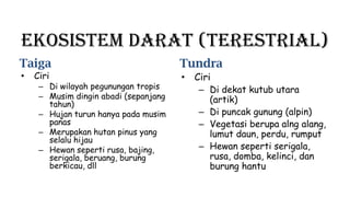 Ekosistem Darat (Terestrial)
Taiga Tundra
• Ciri
– Di wilayah pegunungan tropis
– Musim dingin abadi (sepanjang
tahun)
– Hujan turun hanya pada musim
panas
– Merupakan hutan pinus yang
selalu hijau
– Hewan seperti rusa, bajing,
serigala, beruang, burung
berkicau, dll
• Ciri
– Di dekat kutub utara
(artik)
– Di puncak gunung (alpin)
– Vegetasi berupa alng alang,
lumut daun, perdu, rumput
– Hewan seperti serigala,
rusa, domba, kelinci, dan
burung hantu
 