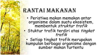 Rantai Makanan
• Peristiwa makan memakan antar
organisme dalam suatu ekosistem,
membentuk struktur trofik
• Stuktur trofik terdiri atas tingkat
trofik
• Setiap tingkat trofik merupakan
kumpulan berbagai organisme dengan
sumber makan turtentu
 