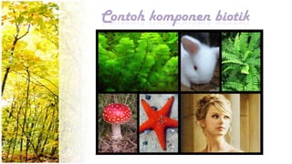 Contoh komponen biotik
 
