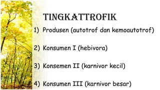 TingkatTrofik
1) Produsen (autotrof dan kemoautotrof)
2) Konsumen I (hebivora)
3) Konsemen II (karnivor kecil)
4) Konsumen III (karnivor besar)
 