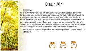 Daur Air
• Prosesnya :
Air di atmosfer berada dalam bentuk uap air. Uap air berasal dari air di
daratan dan laut yang menguap karena panas cahaya matahari. Uap air di
atmosfer terkondensasi menjadi awan yang turun kedaratan dan laut
dalam bentuk hujan. Lalu, air hujan masuk kedalam tanah membentuk air
permukaan dan air tanah. Tumbuhan menyerap air yang di dalam tanah.
Dalam tubuh tumbuhan, air mengalir melalui suatu pembuluh. Selanjutnya
melalui transpirasi uap air dilepaskan oleh tumbuhan ke atmosfer.
• Pada daur air terjadi pergerakan air dalam organisme di daratan dan di
atmosfer.
 