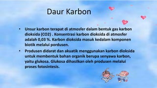 Daur Karbon
• Unsur karbon terapat di atmosfer dalam bentuk gas karbon
dioksida (CO2) . Konsentrasi karbon dioksida di atmosfer
adalah 0,03 %. Karbon dioksida masuk kedalam komponen
biotik melalui pordusen.
• Produsen didarat dan akuatik menggunakan karbon dioksida
untuk membentuk bahan organik berupa senyawa karbon,
yaitu glukosa. Glukosa dihasilkan oleh produsen melalui
proses fotosintesis.
 