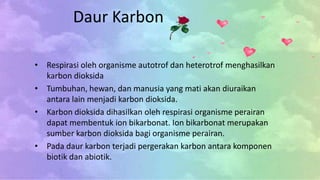Daur Karbon
• Respirasi oleh organisme autotrof dan heterotrof menghasilkan
karbon dioksida
• Tumbuhan, hewan, dan manusia yang mati akan diuraikan
antara lain menjadi karbon dioksida.
• Karbon dioksida dihasilkan oleh respirasi organisme perairan
dapat membentuk ion bikarbonat. Ion bikarbonat merupakan
sumber karbon dioksida bagi organisme perairan.
• Pada daur karbon terjadi pergerakan karbon antara komponen
biotik dan abiotik.
 