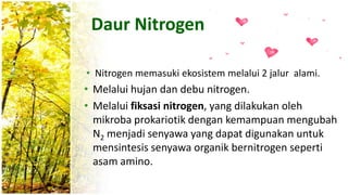 • Nitrogen memasuki ekosistem melalui 2 jalur alami.
• Melalui hujan dan debu nitrogen.
• Melalui fiksasi nitrogen, yang dilakukan oleh
mikroba prokariotik dengan kemampuan mengubah
N2 menjadi senyawa yang dapat digunakan untuk
mensintesis senyawa organik bernitrogen seperti
asam amino.
Daur Nitrogen
 