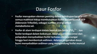 Daur Fosfor
 