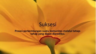 Suksesi
Proses perkembangan suatu komunitas melalui tahap-
tahap yang dapat diprediksi.
 