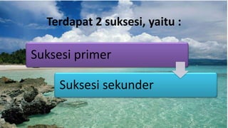 Terdapat 2 suksesi, yaitu :
Suksesi primer
Suksesi sekunder
 