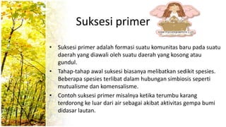 Suksesi primer
• Suksesi primer adalah formasi suatu komunitas baru pada suatu
daerah yang diawali oleh suatu daerah yang kosong atau
gundul.
• Tahap-tahap awal suksesi biasanya melibatkan sedikit spesies.
Beberapa spesies terlibat dalam hubungan simbiosis seperti
mutualisme dan komensalisme.
• Contoh suksesi primer misalnya ketika terumbu karang
terdorong ke luar dari air sebagai akibat aktivitas gempa bumi
didasar lautan.
 