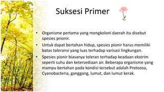 Suksesi Primer
• Organisme pertama yang mengkoloni daerah itu disebut
spesies prionir.
• Untuk dapat bertahan hidup, spesies pionir harus memiliki
batas toleransi yang luas terhadap varisasi lingkungan.
• Spesies pionir biasanya toleran terhadap keadaan ekstrim
seperti suhu dan ketersediaan air. Beberapa organisme yang
mampu bertahan pada kondisi tersebut adalah Protozoa,
Cyanobacteria, ganggang, lumut, dan lumut kerak.
 
