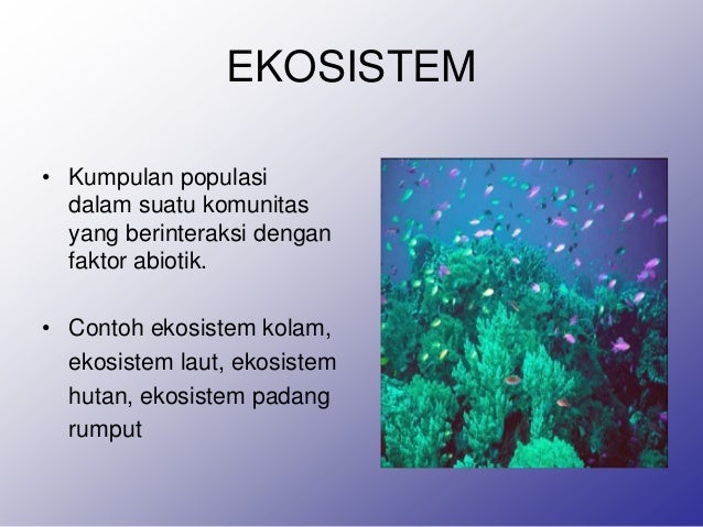 Ekosistem. Materi ekosistem untuk kelas VII SMP, semoga Ekosistem. Materi ekosistem untuk kelas VII SMP, semoga
