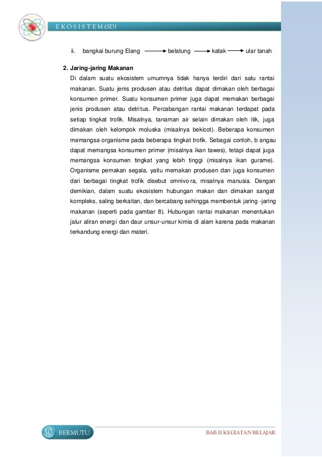 Ekosistem 46894875