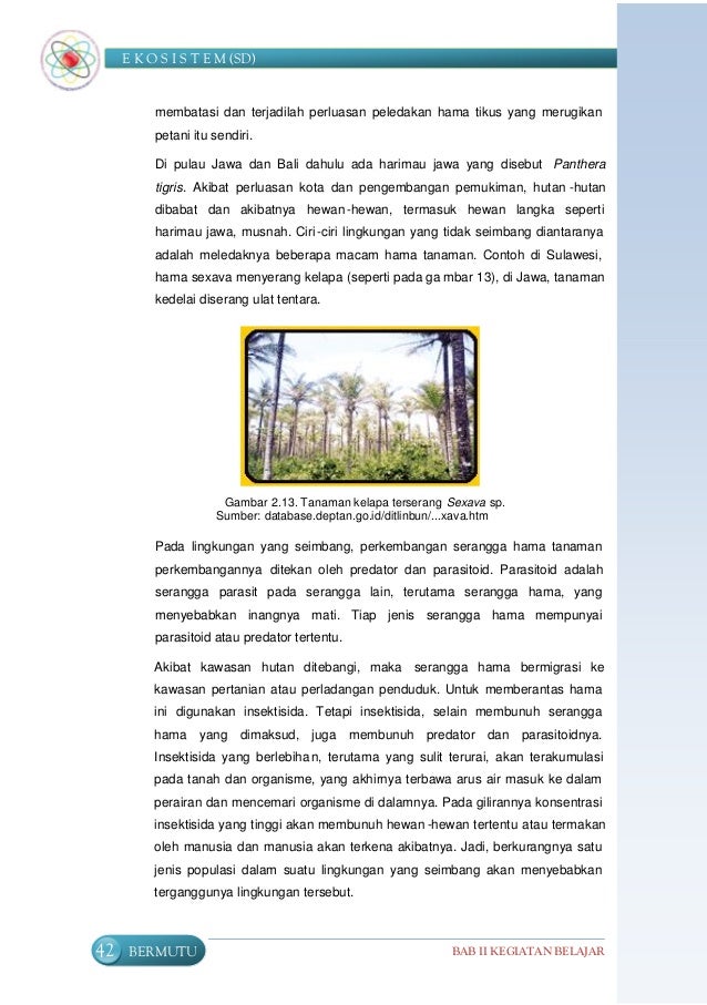Ekosistem 46894875