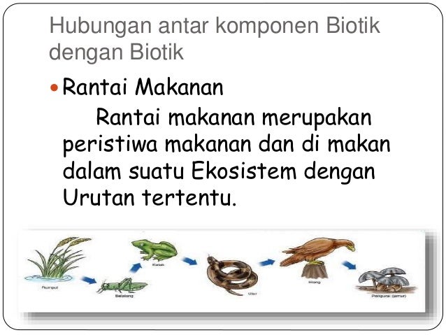 Ekosistem Ekosistem