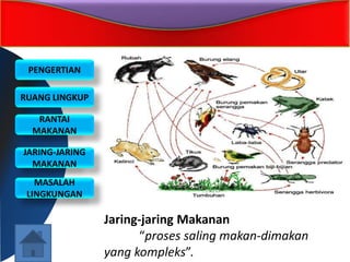 PENGERTIAN
RUANG LINGKUP
RANTAI
MAKANAN
JARING-JARING
MAKANAN
MASALAH
LINGKUNGAN
Jaring-jaring Makanan
“proses saling makan-dimakan
yang kompleks”.
 