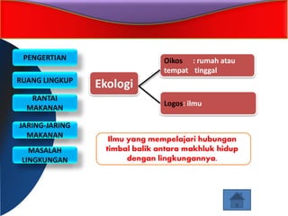 PENGERTIAN
RUANG LINGKUP
RANTAI
MAKANAN
JARING-JARING
MAKANAN
MASALAH
LINGKUNGAN
Ekologi
Oikos : rumah atau
tempat tinggal
Logos: ilmu
Ilmu yang mempelajari hubungan
timbal balik antara makhluk hidup
dengan lingkungannya.
 