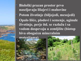 Biološki prazan prostor prvo
naseljavaju lišajevi i mahovine
Potom životinje (biljojedi, mesojedi)
Opalo lišće, plodovi i semenje, uginule
životinje, perje itd. se razlažu i sa
vodom dospevaju u zemljište (biotop
biva obogaćen mineralnim
materijama)
 