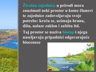 Životna zajednica u prirodi mora
zauzimati neki prostor u kome članovi
te zajednice zadovoljavaju svoje
potrebe: kreću se, uzimaju hranu,
dišu, nalaze zaklon i zaštitu itd.
Taj prostor se naziva biotop i njega
naseljavaju pripadnici odgovarajuće
biocenoze
 