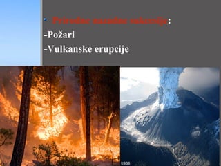 Prirodne nazadne sukcesije:
-Požari
-Vulkanske erupcije
 