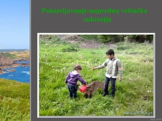 Pošumljavanje-napredna veštačka
sukcesija
 