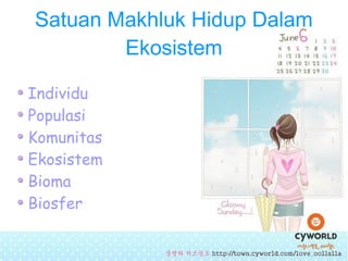 Contoh Individu Pengertian dan Jenis-Jenis Ekosistem | ODP