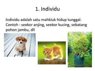 Contoh Individu Ekosistem | PPTX
