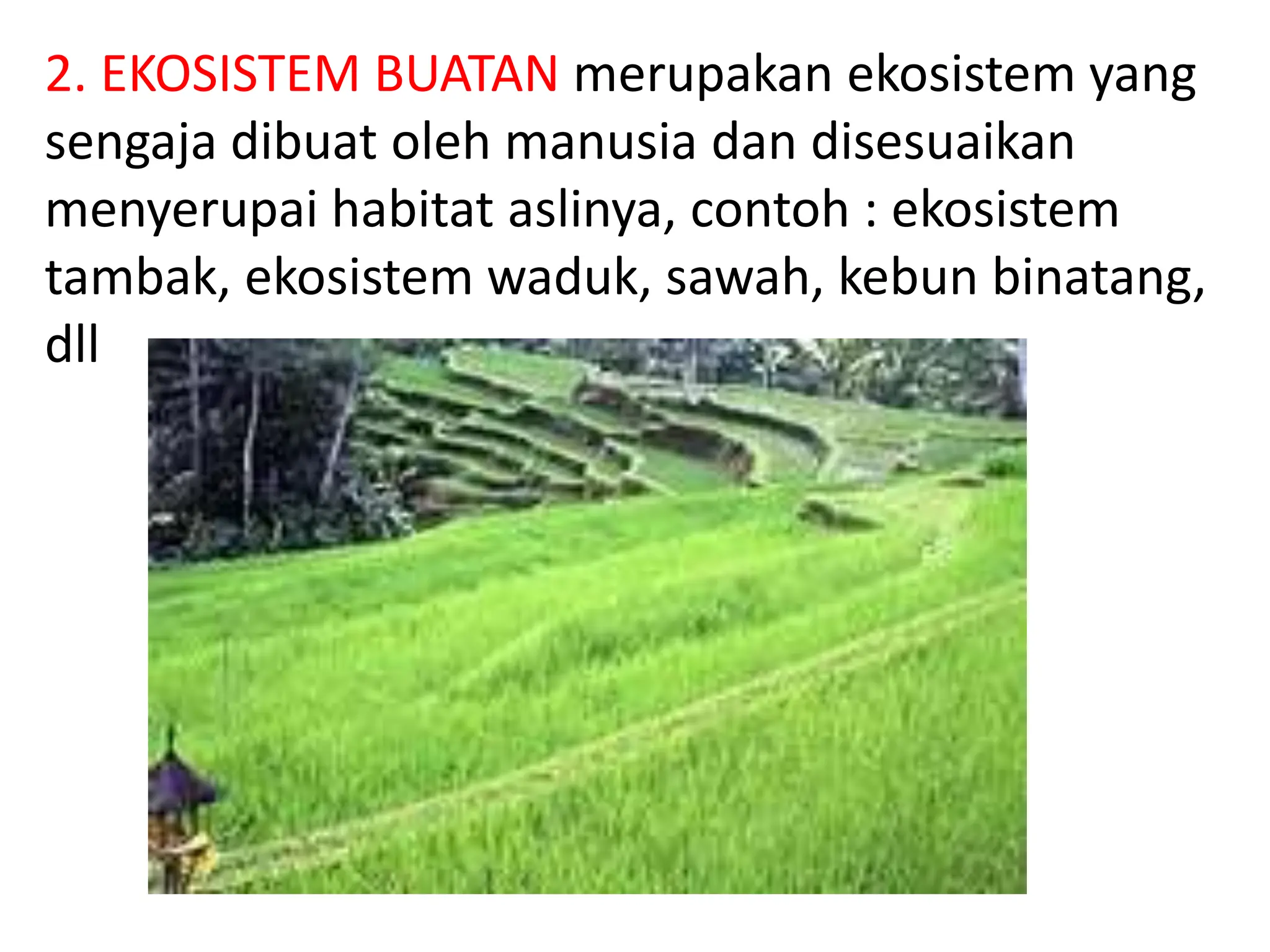 Komponen penyusun ekosistem terdiri dari individu, populasi, komunitas