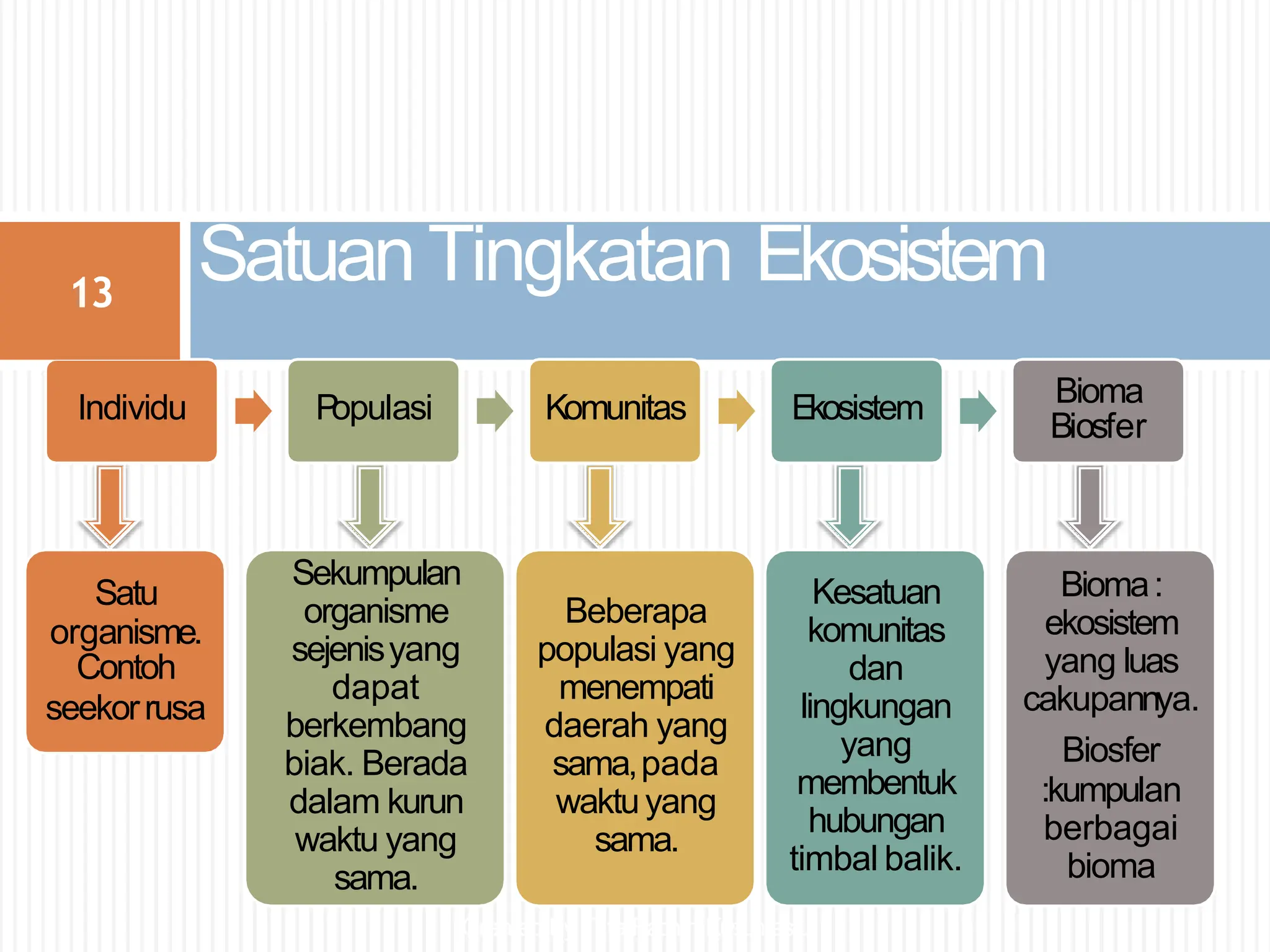 Contoh Individu EKOSISTEM DAN KOMPONEN PENYUSUNNYA SERTA PERKEMBANGNNYA | PPTX