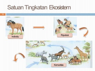 Contoh Individu EKOSISTEM DAN KOMPONEN PENYUSUNNYA SERTA PERKEMBANGNNYA | PPTX