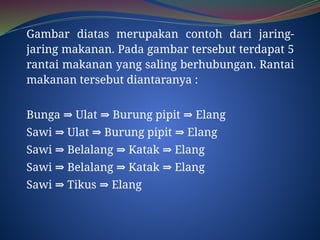 Ulat Rantai EKOSISTEM, penggolongan dan rantai makanan.pptx
