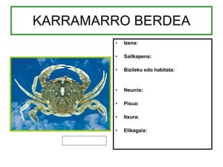 KARRAMARRO BERDEA Izena: Sailkapena: Bizileku edo habitata: Neurria: Pisua: Itxura: Elikagaia: 